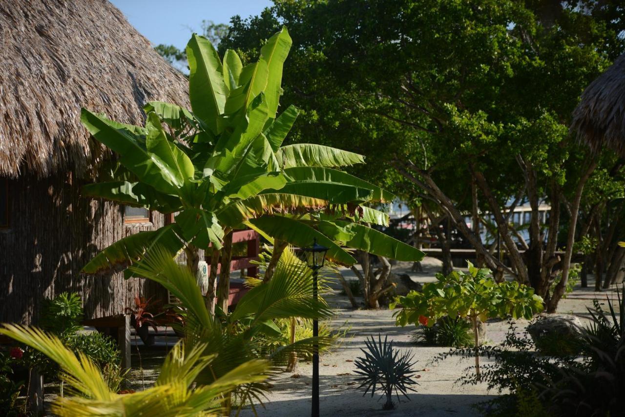 El Ben Cabanas Caye Caulker Exterior photo